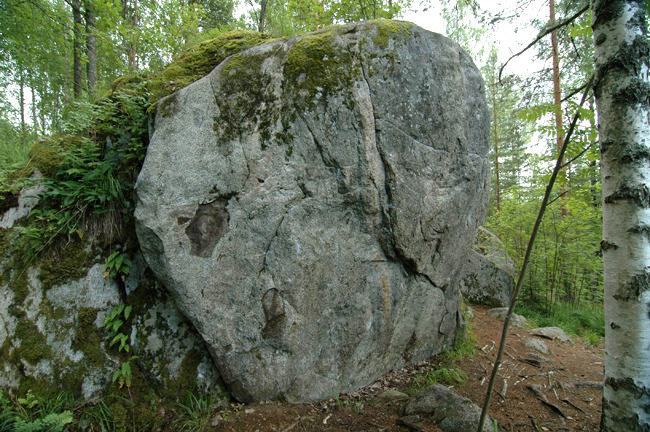 Rakula