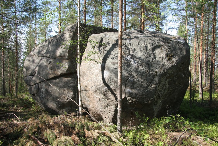 Sarkopenia