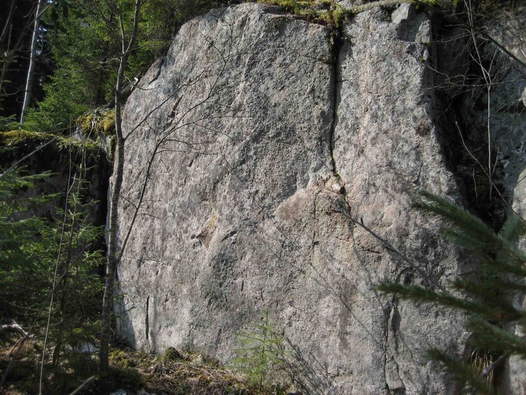 Siivousseinä
