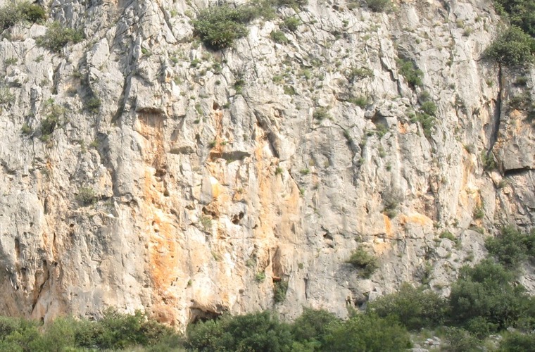 Vici