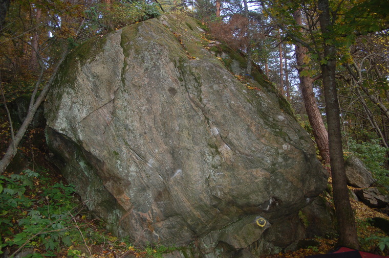 Harjulan kivi