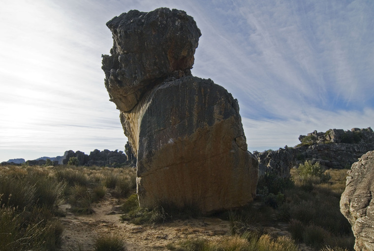 Roadside Dyno