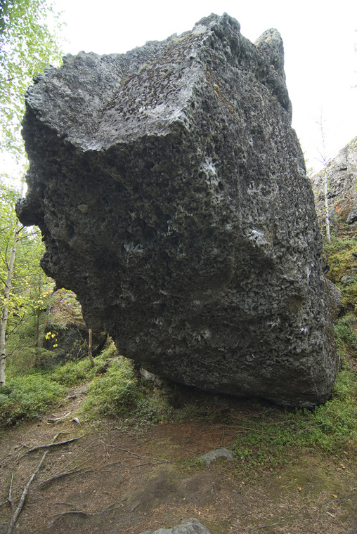 Rotanloukku