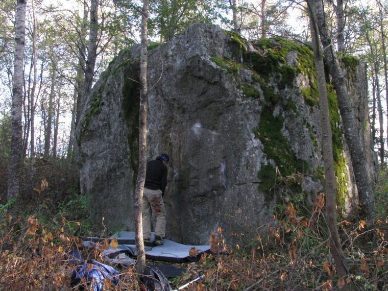 Veenus