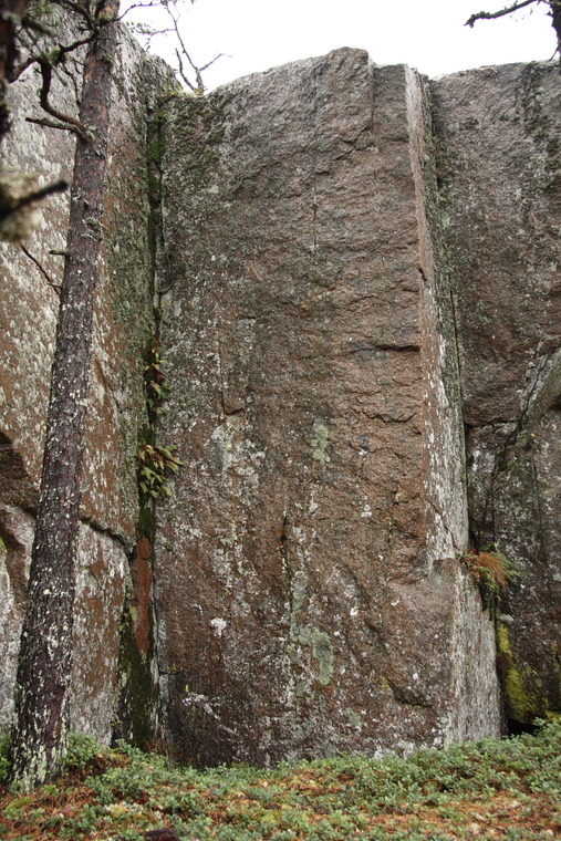 Rytmihäiriö