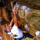 Calvin Landrus