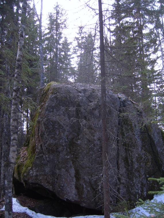Uniikkimesta