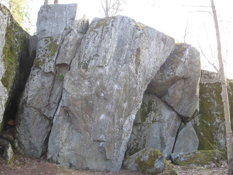 Ruoska