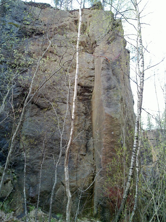 Left side