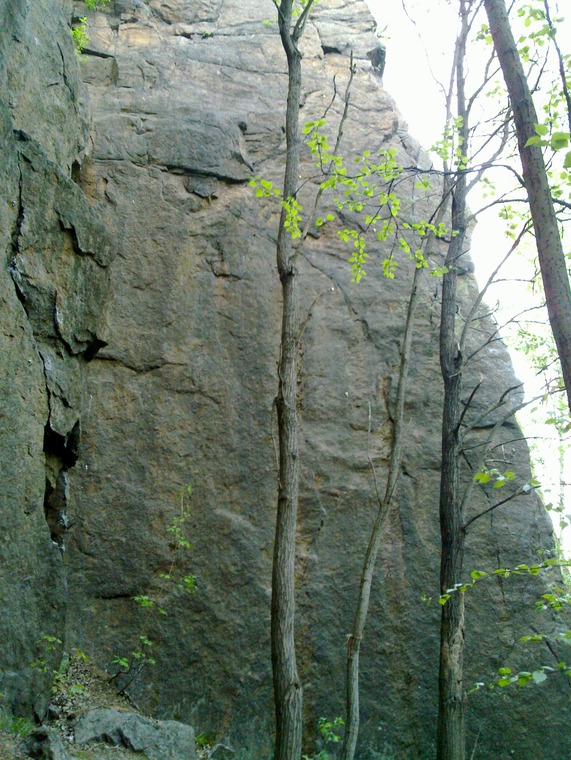 Right side