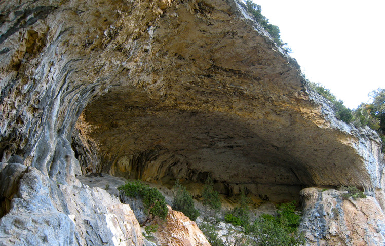 El Delfín