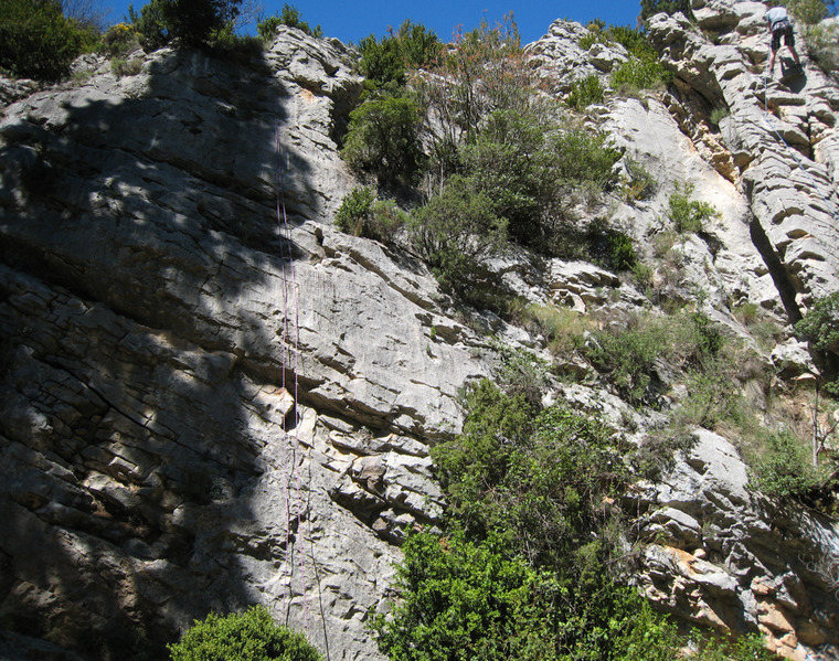 Rigole