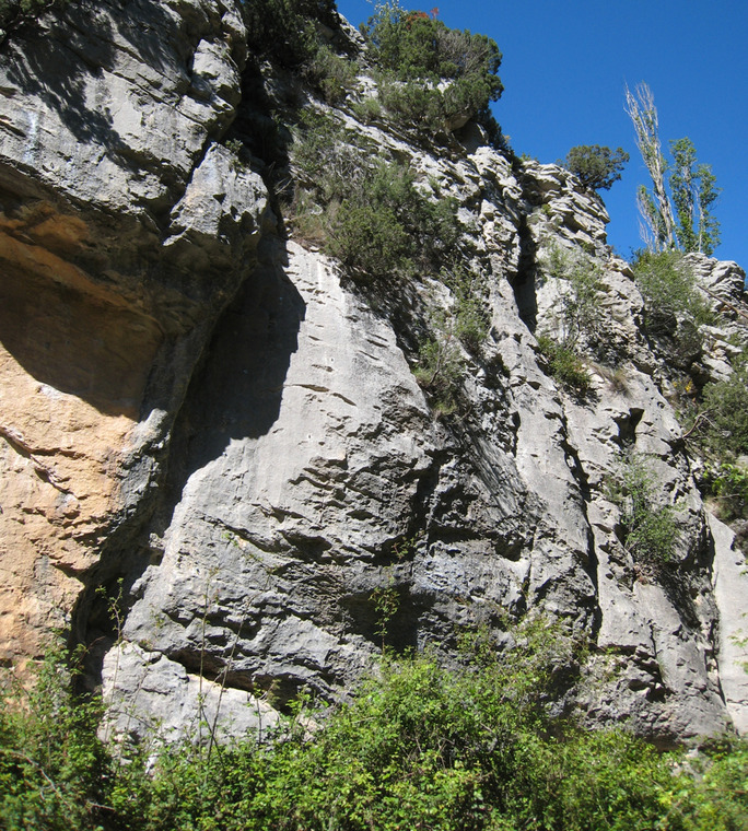 Rigole