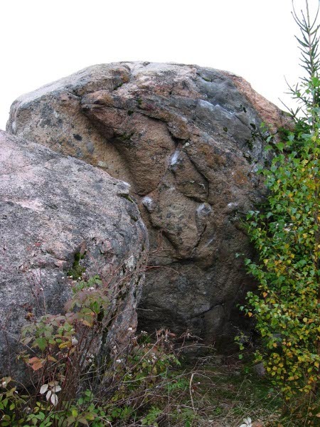 Pontikka