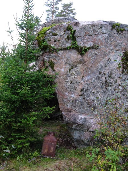 Pontikka