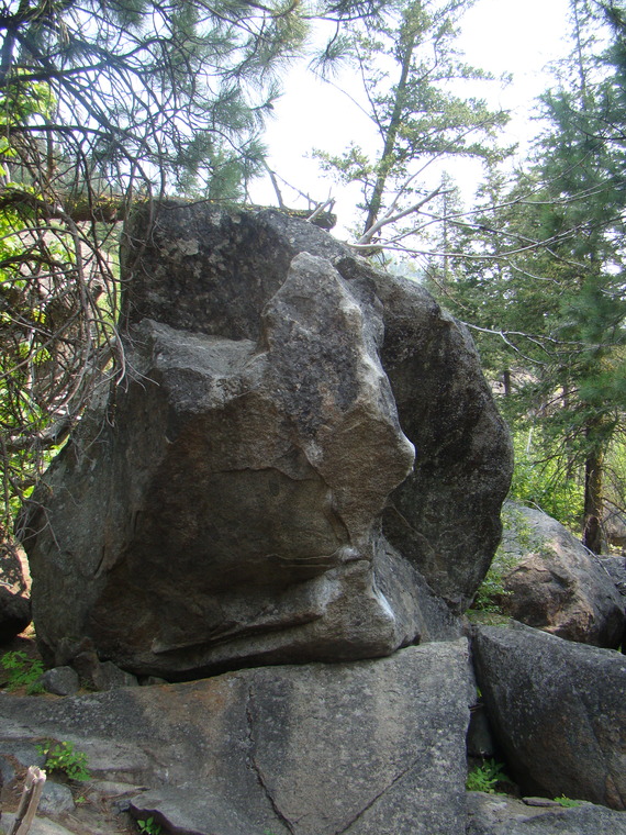 Forestland