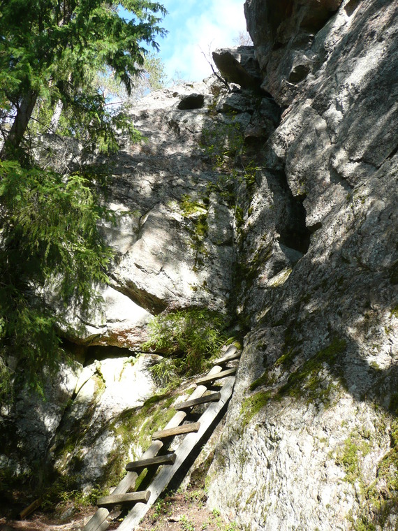 Left side