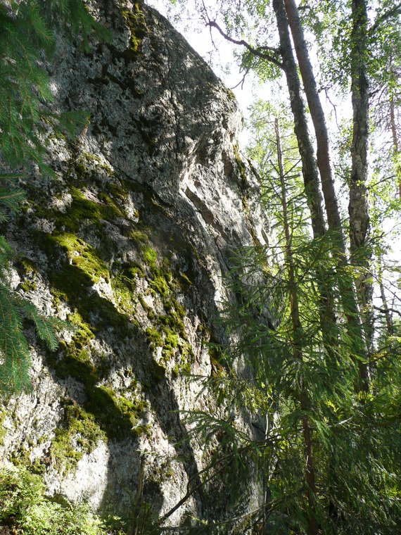Left side