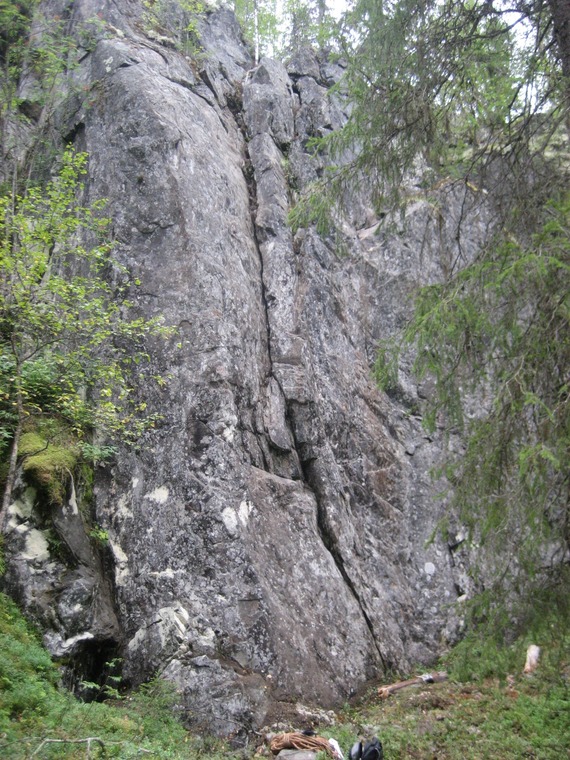 Main face