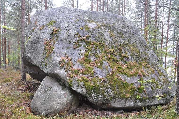 Mammutti