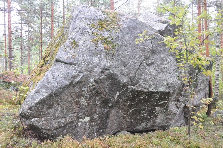 Mammutti