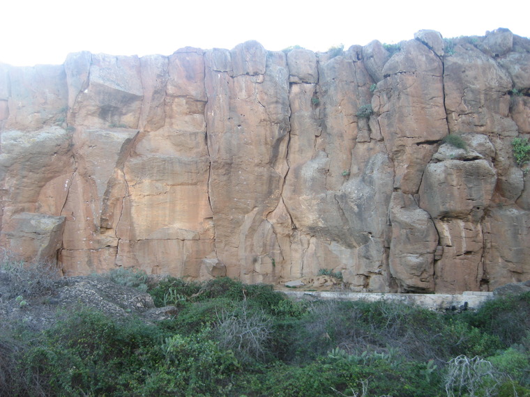 Los Naranjos