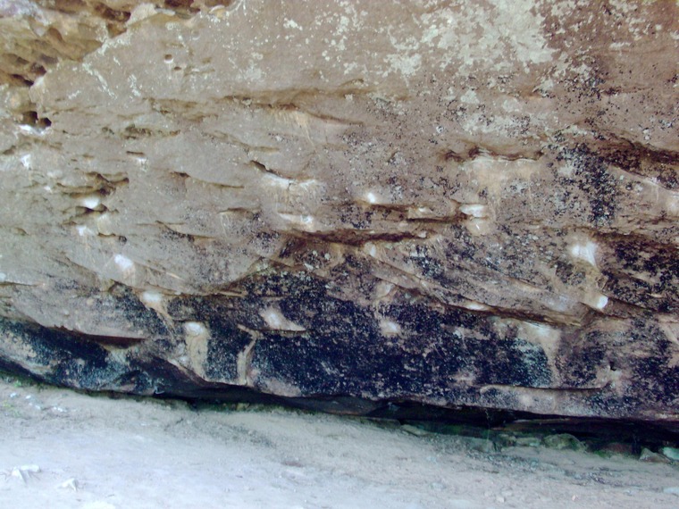 Fred's Cave