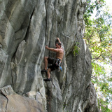 Bram Whillock
