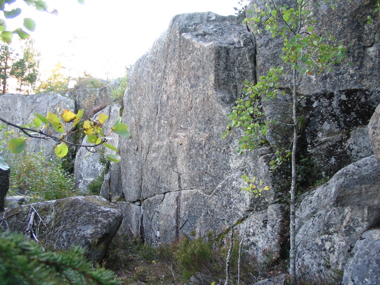 Näyteikkuna