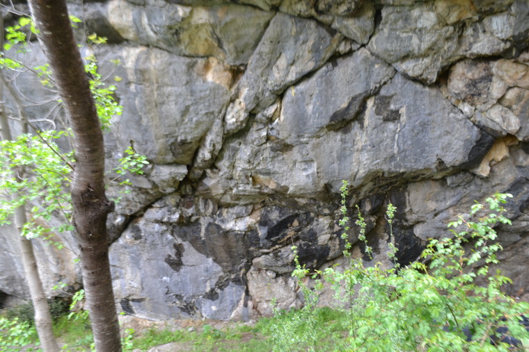 Burevestnik
