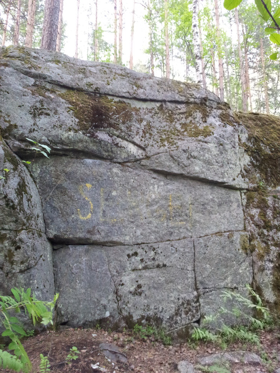 Pitsalähetti