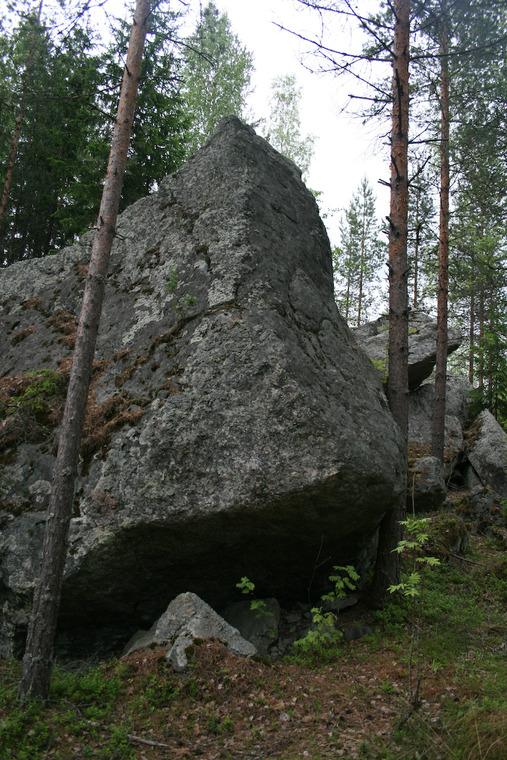 Tutka