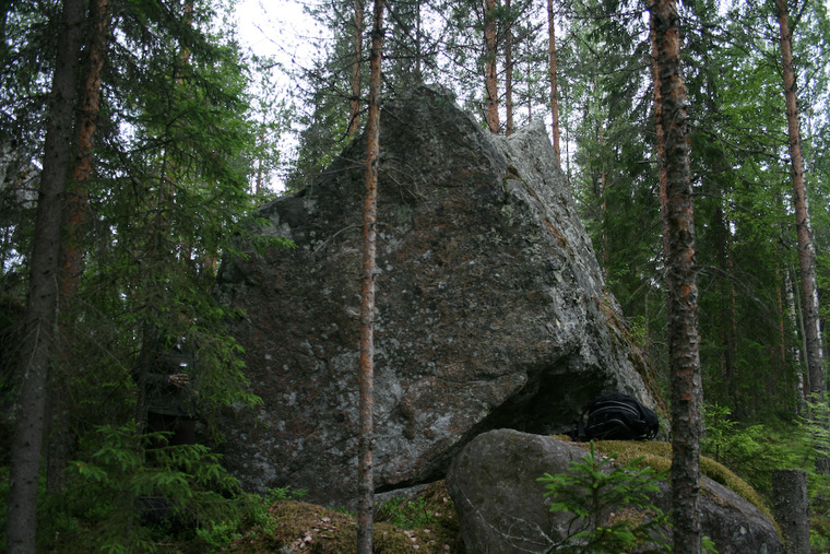 Tutka