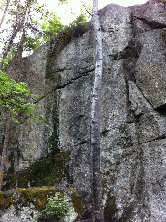 Pääkallio