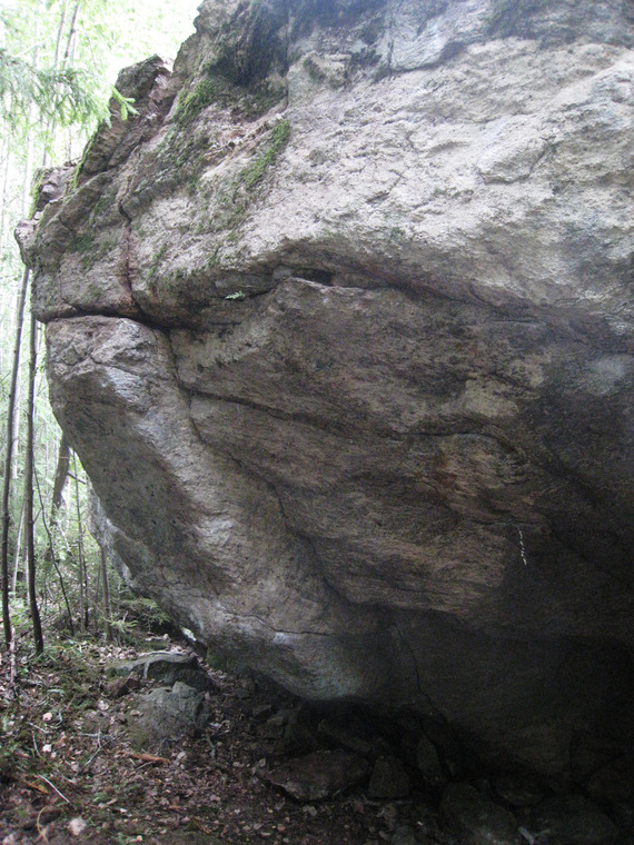 Mustanaamio