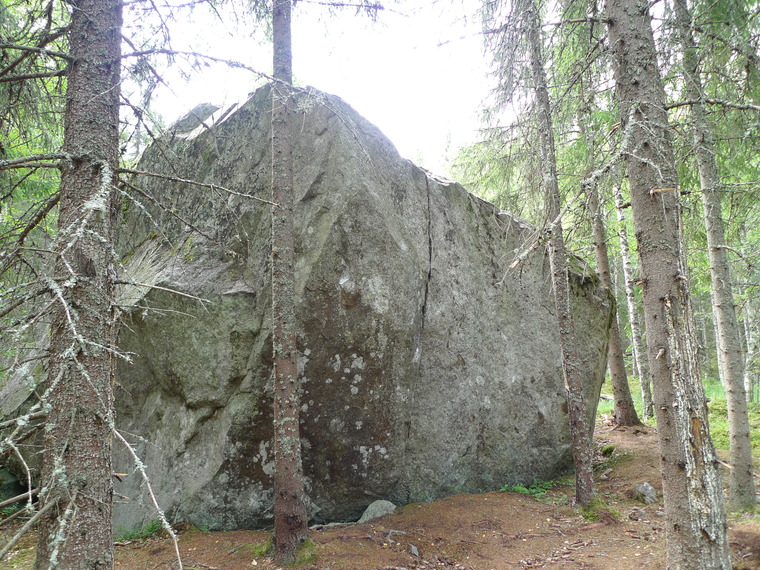 Skogen/Atriumet
