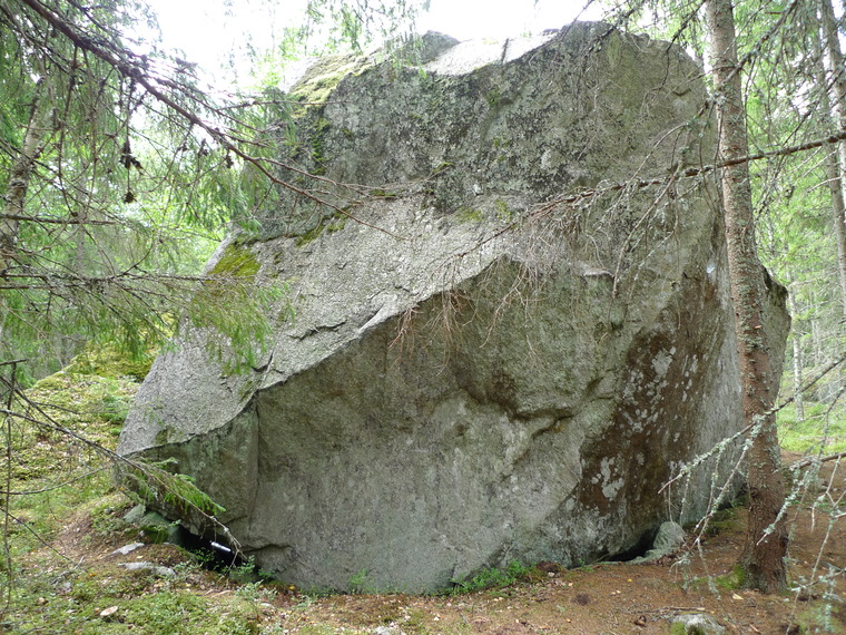 Skogen/Atriumet