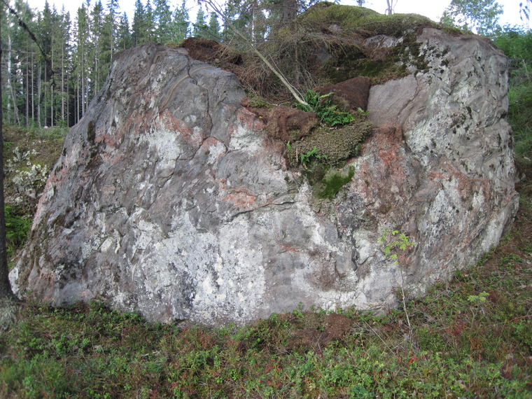 Tauti