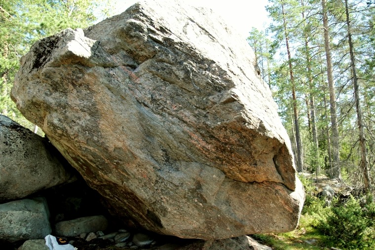 Huvudsektorn