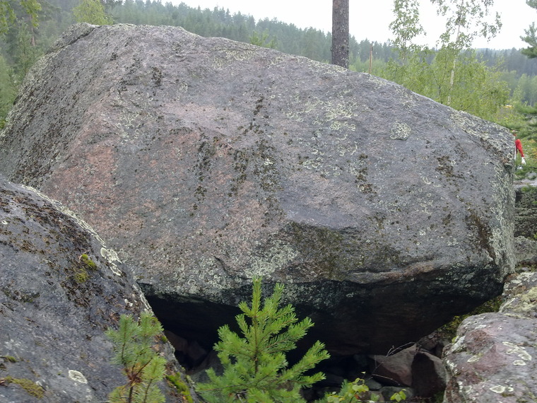 Märkä uni
