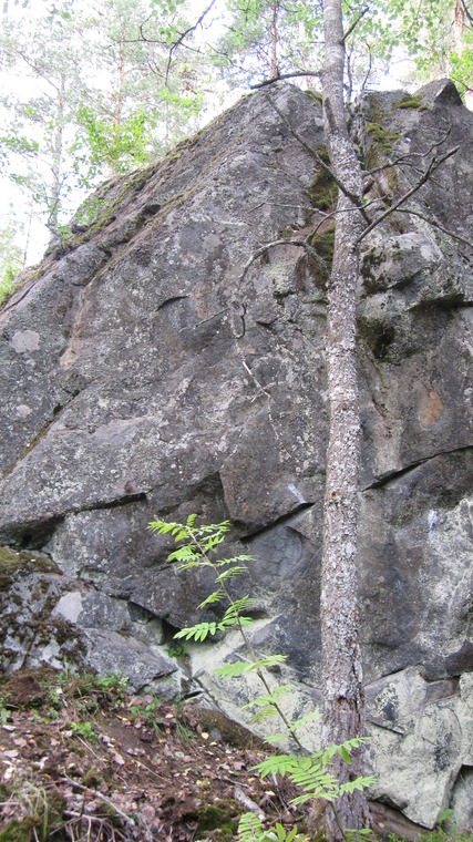 Wall
