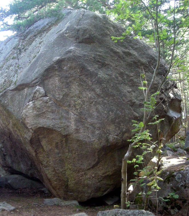 Joogo-kivi