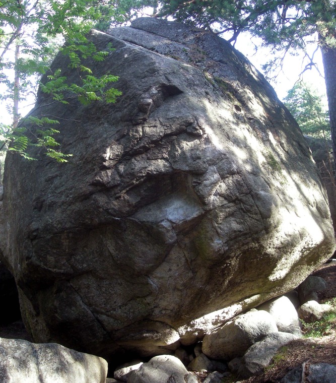 Joogo-kivi
