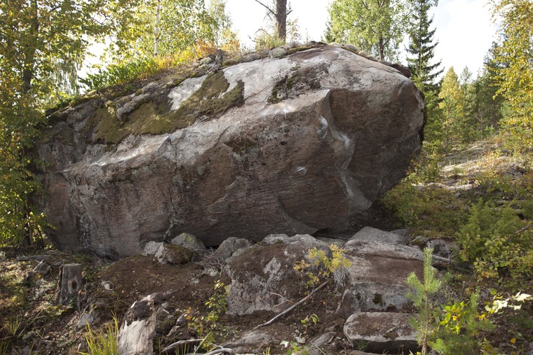 Äkkipoika