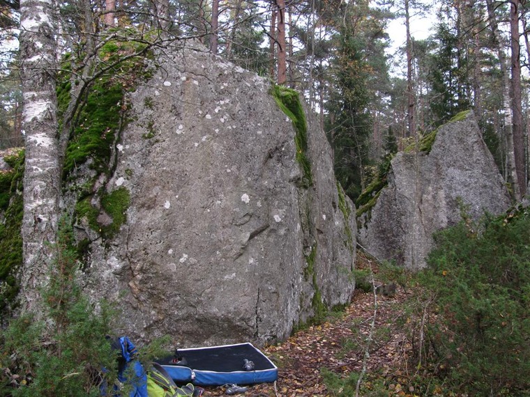 Bidoigt
