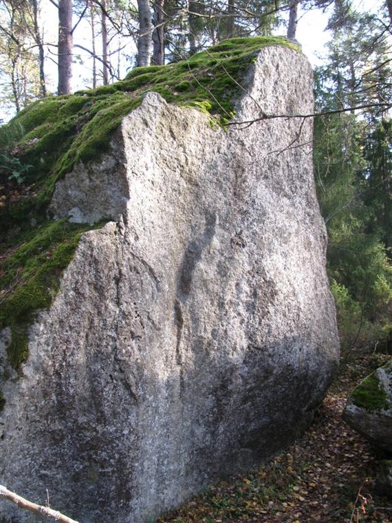 Bidoigt
