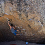 Alex Biale