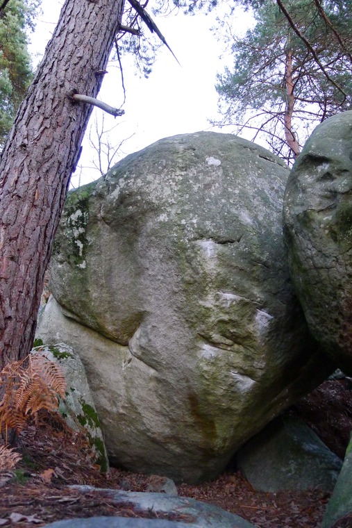 Le Verdicte