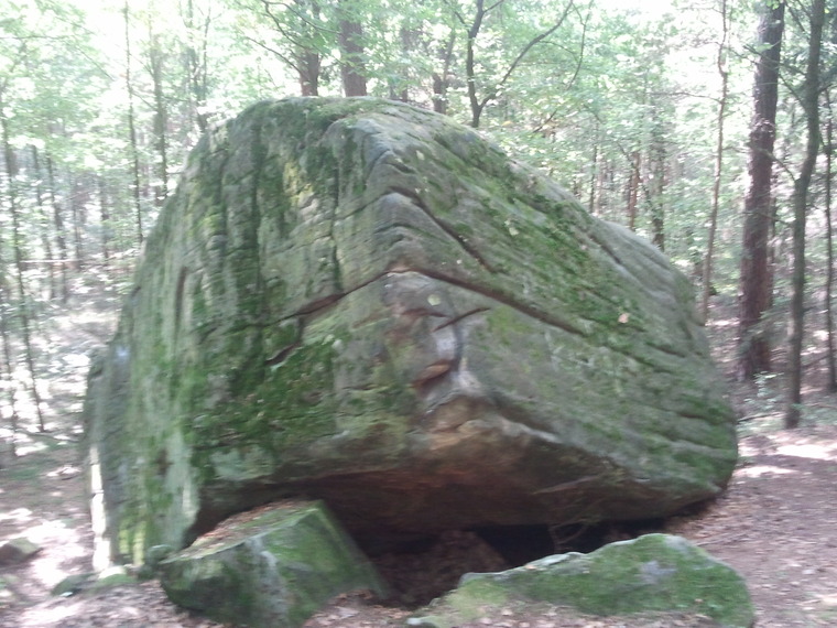 Parapetolog
