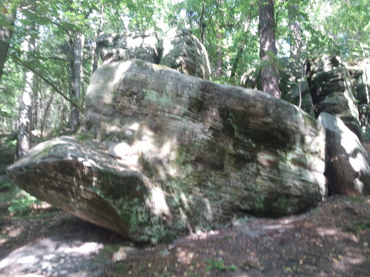 Parapetolog